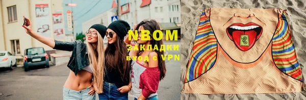 амф Аркадак