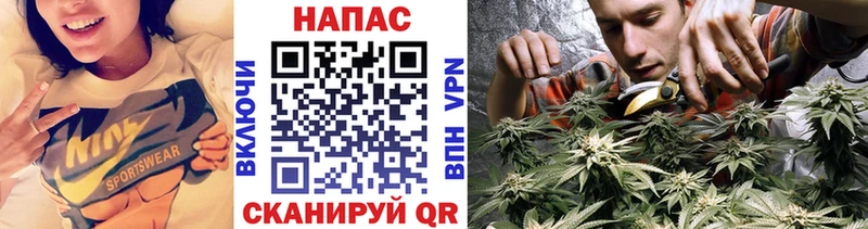 Конопля White Widow  закладка  Верхняя Тура 